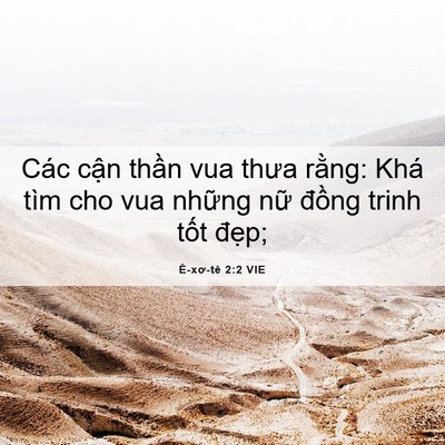 Picture 06 - Ê-xơ-tê 2:2 VIE - Các cận thần vua thưa rằng: Khá tìm cho - Bible Verse Picture