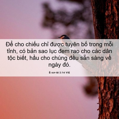 Picture 06 - Ê-xơ-tê 3:14 VIE - Để cho chiếu chỉ được tuyên bố - Bible Verse Picture