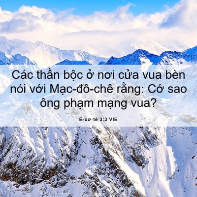 Picture 06 - Ê-xơ-tê 3:3 VIE - Các thần bộc ở nơi cửa vua bèn nói - Bible Verse Picture