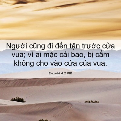 Picture 06 - Ê-xơ-tê 4:2 VIE - Người cũng đi đến tận trước cửa - Bible Verse Picture