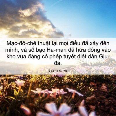 Picture 06 - Ê-xơ-tê 4:7 VIE - Mạc-đô-chê thuật lại mọi điều đã - Bible Verse Picture