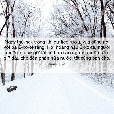 Picture 06 - Ê-xơ-tê 7:2 VIE - Ngày thứ hai, trong khi dự tiệc rượu, - Bible Verse Picture