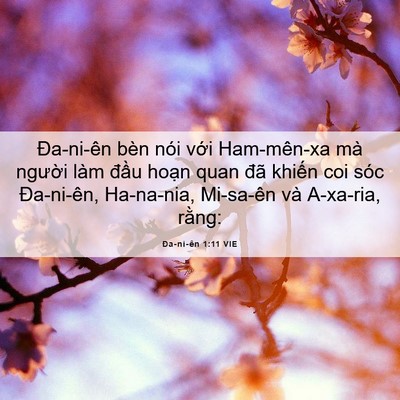 Picture 06 - Ða-ni-ên 1:11 VIE - Đa-ni-ên bèn nói với Ham-mên-xa mà - Bible Verse Picture