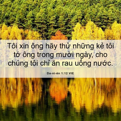 Picture 06 - Ða-ni-ên 1:12 VIE - Tôi xin ông hãy thử những kẻ tôi tớ - Bible Verse Picture