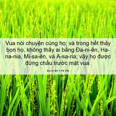 Picture 06 - Ða-ni-ên 1:19 VIE - Vua nói chuyện cùng họ; và trong hết - Bible Verse Picture