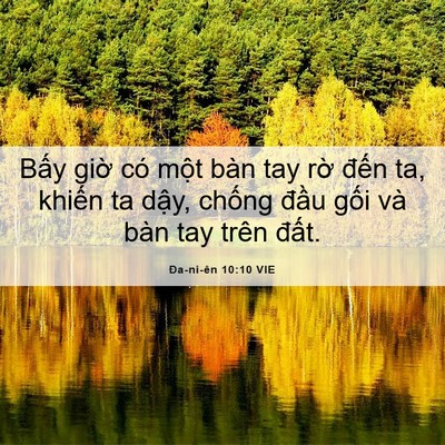 Picture 06 - Ða-ni-ên 10:10 VIE - Bấy giờ có một bàn tay rờ đến ta, - Bible Verse Picture