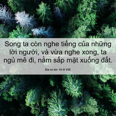 Picture 06 - Ða-ni-ên 10:9 VIE - Song ta còn nghe tiếng của những lời - Bible Verse Picture