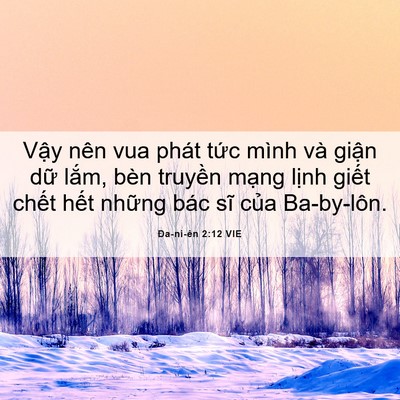 Picture 06 - Ða-ni-ên 2:12 VIE - Vậy nên vua phát tức mình và giận dữ - Bible Verse Picture