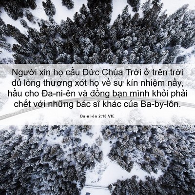 Picture 06 - Ða-ni-ên 2:18 VIE - Người xin họ cầu Đức Chúa Trời ở - Bible Verse Picture