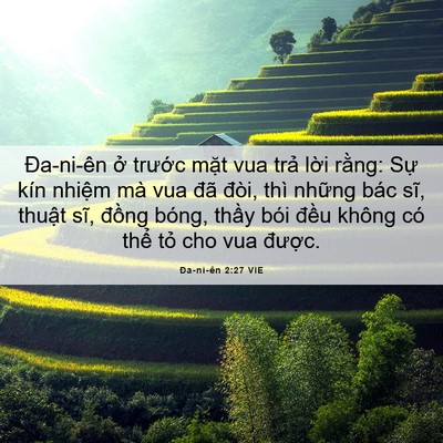 Picture 06 - Ða-ni-ên 2:27 VIE - Đa-ni-ên ở trước mặt vua trả lời - Bible Verse Picture