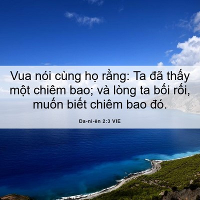 Picture 06 - Ða-ni-ên 2:3 VIE - Vua nói cùng họ rằng: Ta đã thấy một - Bible Verse Picture
