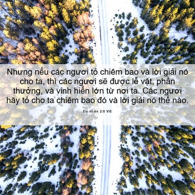 Picture 06 - Ða-ni-ên 2:6 VIE - Nhưng nếu các ngươi tỏ chiêm bao và - Bible Verse Picture