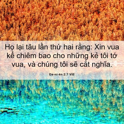 Picture 06 - Ða-ni-ên 2:7 VIE - Họ lại tâu lần thứ hai rằng: Xin vua - Bible Verse Picture