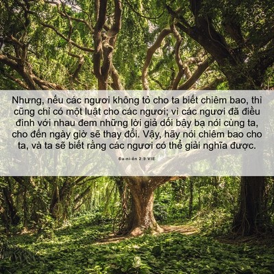 Picture 06 - Ða-ni-ên 2:9 VIE - Nhưng, nếu các ngươi không tỏ cho ta - Bible Verse Picture