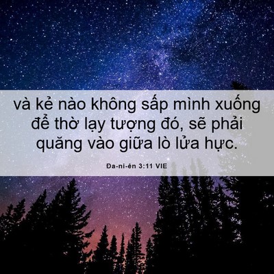 Picture 06 - Ða-ni-ên 3:11 VIE - và kẻ nào không sấp mình xuống để - Bible Verse Picture