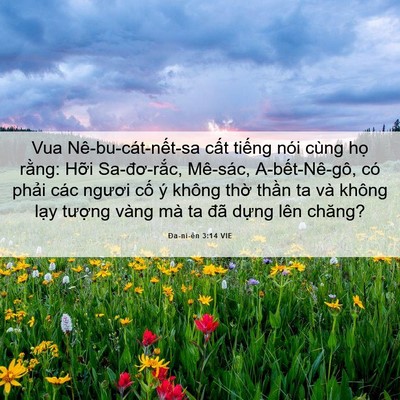 Picture 06 - Ða-ni-ên 3:14 VIE - Vua Nê-bu-cát-nết-sa cất tiếng nói cùng - Bible Verse Picture