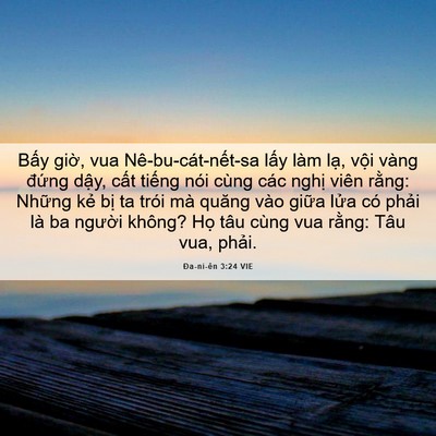 Picture 06 - Ða-ni-ên 3:24 VIE - Bấy giờ, vua Nê-bu-cát-nết-sa lấy làm - Bible Verse Picture