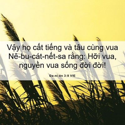 Picture 06 - Ða-ni-ên 3:9 VIE - Vậy họ cất tiếng và tâu cùng vua - Bible Verse Picture