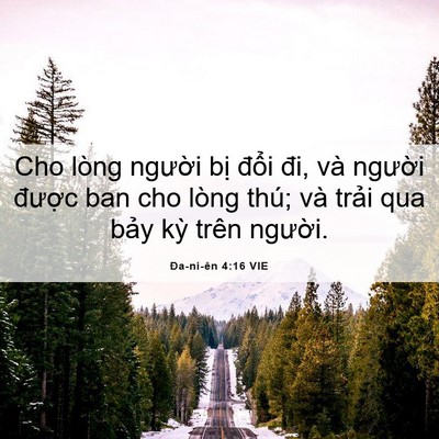 Picture 06 - Ða-ni-ên 4:16 VIE - Cho lòng người bị đổi đi, và người - Bible Verse Picture