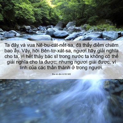 Picture 06 - Ða-ni-ên 4:18 VIE - Ta đây và vua Nê-bu-cát-nết-sa, đã - Bible Verse Picture