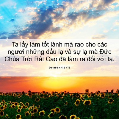 Picture 06 - Ða-ni-ên 4:2 VIE - Ta lấy làm tốt lành mà rao cho các - Bible Verse Picture