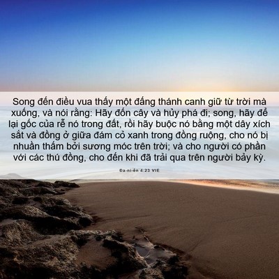 Picture 06 - Ða-ni-ên 4:23 VIE - Song đến điều vua thấy một đấng - Bible Verse Picture