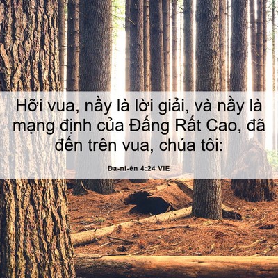 Picture 06 - Ða-ni-ên 4:24 VIE - Hỡi vua, nầy là lời giải, và nầy là - Bible Verse Picture