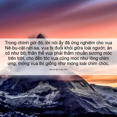 Picture 06 - Ða-ni-ên 4:33 VIE - Trong chính giờ đó, lời nói ấy đã - Bible Verse Picture