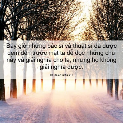 Picture 06 - Ða-ni-ên 5:15 VIE - Bây giờ những bác sĩ và thuật sĩ đã - Bible Verse Picture