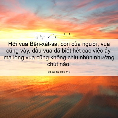 Picture 06 - Ða-ni-ên 5:22 VIE - Hỡi vua Bên-xát-sa, con của người, vua - Bible Verse Picture