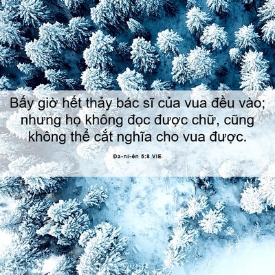 Picture 06 - Ða-ni-ên 5:8 VIE - Bấy giờ hết thảy bác sĩ của vua - Bible Verse Picture