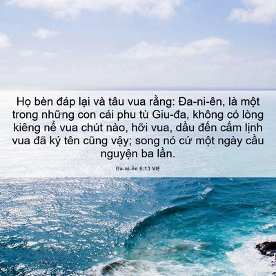 Picture 06 - Ða-ni-ên 6:13 VIE - Họ bèn đáp lại và tâu vua rằng: - Bible Verse Picture