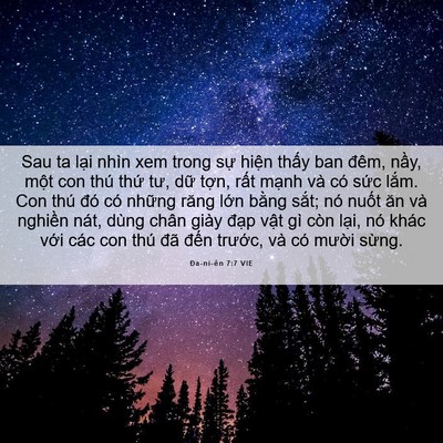 Picture 06 - Ða-ni-ên 7:7 VIE - Sau ta lại nhìn xem trong sự hiện thấy - Bible Verse Picture