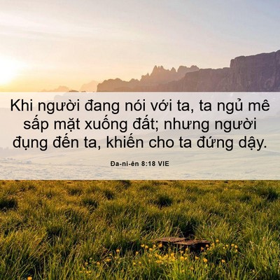 Picture 06 - Ða-ni-ên 8:18 VIE - Khi người đang nói với ta, ta ngủ mê - Bible Verse Picture