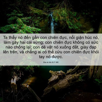 Picture 06 - Ða-ni-ên 8:7 VIE - Ta thấy nó đến gần con chiên đực, - Bible Verse Picture