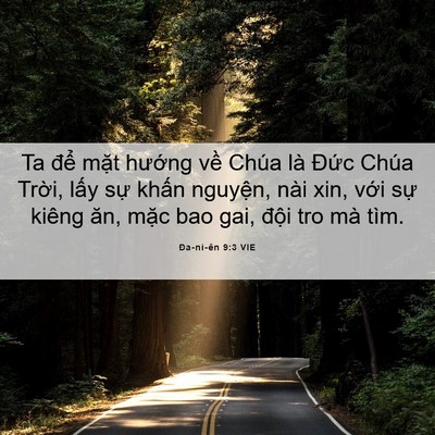 Picture 06 - Ða-ni-ên 9:3 VIE - Ta để mặt hướng về Chúa là Đức - Bible Verse Picture