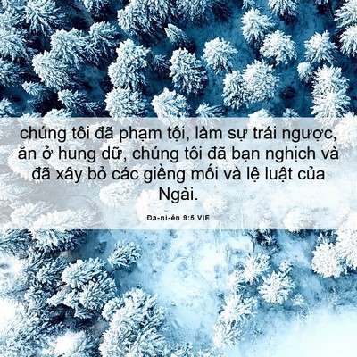 Picture 06 - Ða-ni-ên 9:5 VIE - chúng tôi đã phạm tội, làm sự trái - Bible Verse Picture
