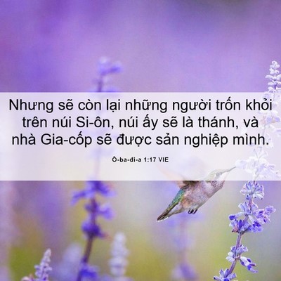 Picture 06 - Ô-ba-đi-a 1:17 VIE - Nhưng sẽ còn lại những người trốn - Bible Verse Picture