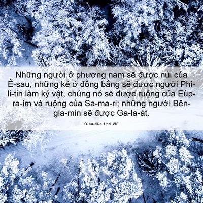 Picture 06 - Ô-ba-đi-a 1:19 VIE - Những người ở phương nam sẽ được - Bible Verse Picture