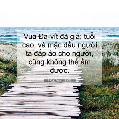 Picture 07 - 1 Các Vua 1:1 VIE - Vua Đa-vít đã già; tuổi cao; và mặc - Bible Verse Picture