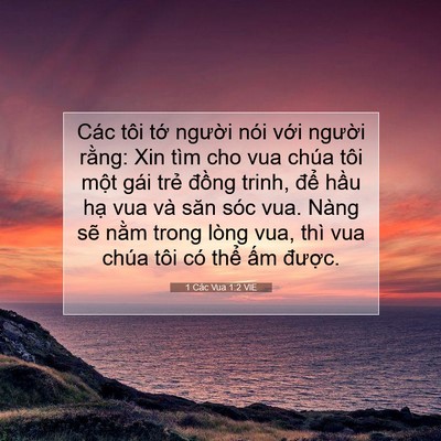 Picture 07 - 1 Các Vua 1:2 VIE - Các tôi tớ người nói với người - Bible Verse Picture