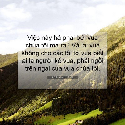 Picture 07 - 1 Các Vua 1:27 VIE - Việc này há phải bởi vua chúa tôi mà - Bible Verse Picture
