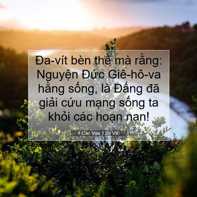 Picture 07 - 1 Các Vua 1:29 VIE - Đa-vít bèn thề mà rằng: Nguyện Đức - Bible Verse Picture
