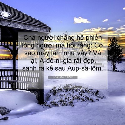 Picture 07 - 1 Các Vua 1:6 VIE - Cha người chẳng hề phiền lòng người - Bible Verse Picture