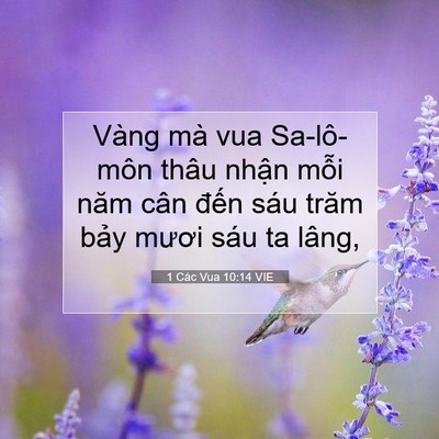 Picture 07 - 1 Các Vua 10:14 VIE - Vàng mà vua Sa-lô-môn thâu nhận mỗi năm - Bible Verse Picture