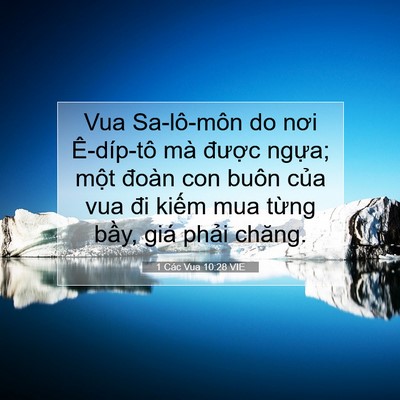 Picture 07 - 1 Các Vua 10:28 VIE - Vua Sa-lô-môn do nơi Ê-díp-tô mà được - Bible Verse Picture