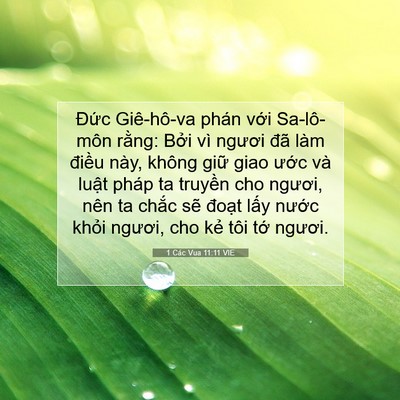 Picture 07 - 1 Các Vua 11:11 VIE - Đức Giê-hô-va phán với Sa-lô-môn - Bible Verse Picture