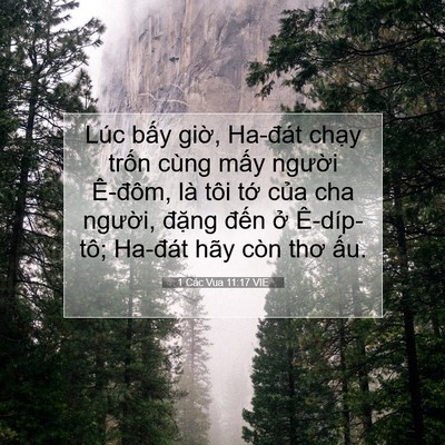 Picture 07 - 1 Các Vua 11:17 VIE - Lúc bấy giờ, Ha-đát chạy trốn cùng - Bible Verse Picture