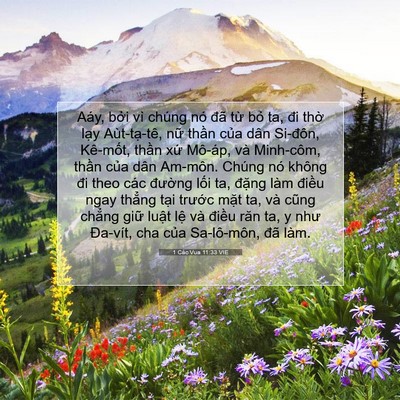 Picture 07 - 1 Các Vua 11:33 VIE - Aáy, bởi vì chúng nó đã từ bỏ ta, đi - Bible Verse Picture
