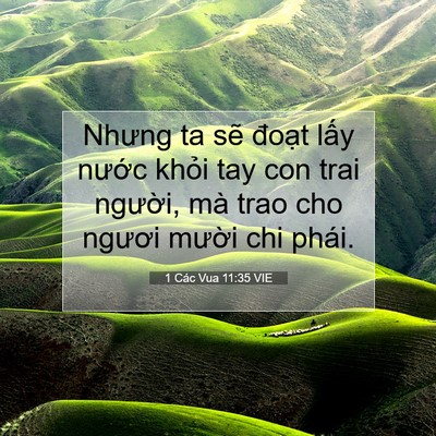 Picture 07 - 1 Các Vua 11:35 VIE - Nhưng ta sẽ đoạt lấy nước khỏi tay - Bible Verse Picture